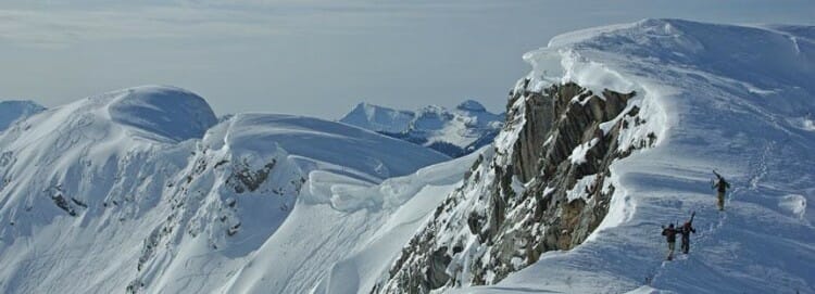 banner-image-1