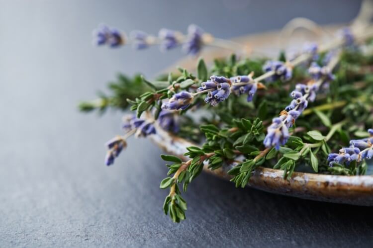Herbs like lavender and thyme are natural air fresheners for your home (istockphoto)