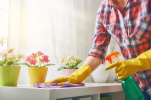SPRING-CLEANING-KILLING-GERMS