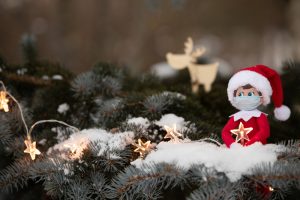 elf on a christmas tree branch